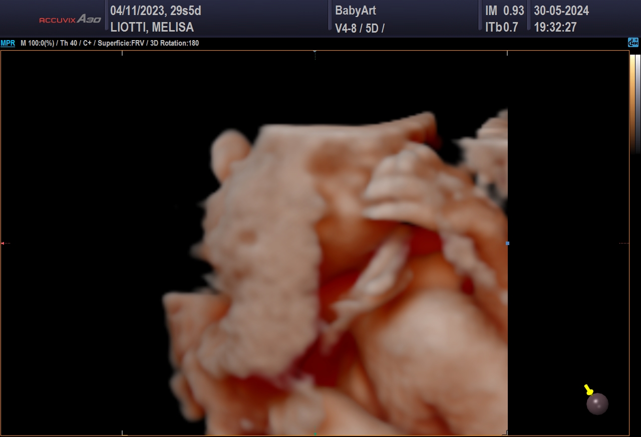 JULIA DE MELISA LIOTTI_0003.JPG